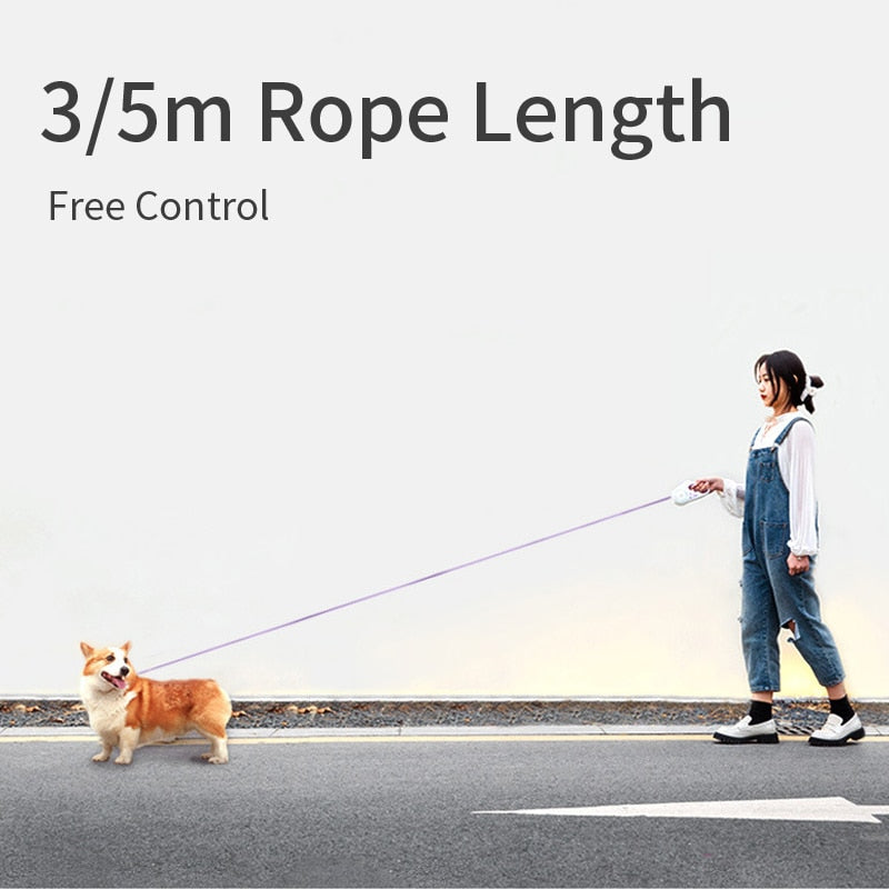 Image of Automatic Retractable Lighting Dog Leash
