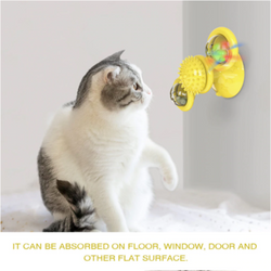 Image of Cats Whirling LED Balls