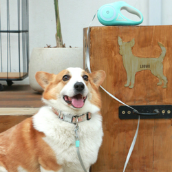 Image of Automatic Retractable Lighting Dog Leash