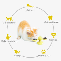 Image of Cats Whirling LED Balls