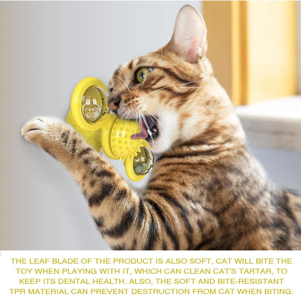 Image of Cats Whirling LED Balls