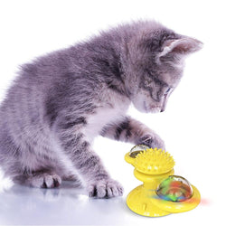 Image of Cats Whirling LED Balls